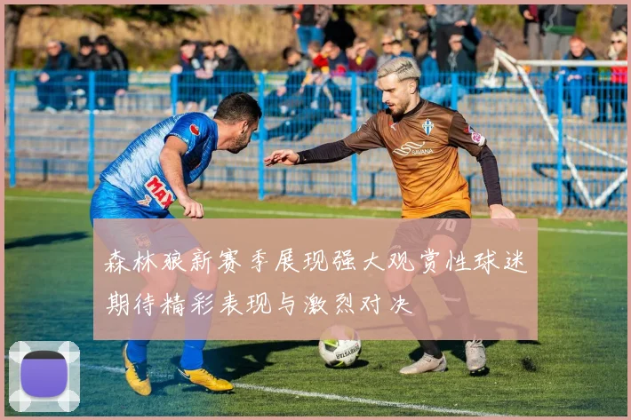 森林狼新赛季展现强大观赏性球迷期待精彩表现与激烈对决